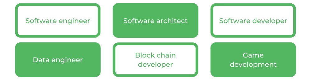软件工程莫纳什-职业