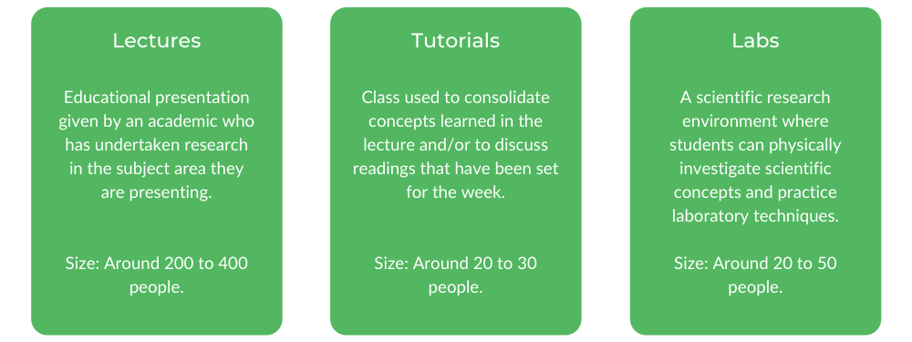 理学学士格里菲斯-班级结构
