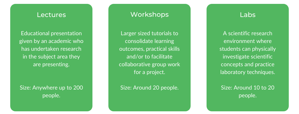 莫纳什护理-班级结构