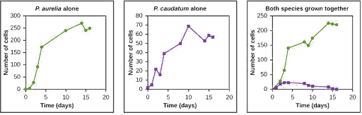QCE生物EA练习问题- Q2