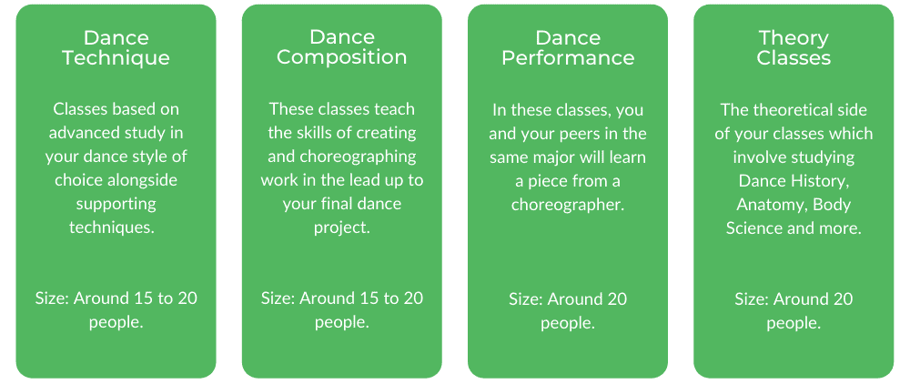 AMPA舞蹈课程学士学位