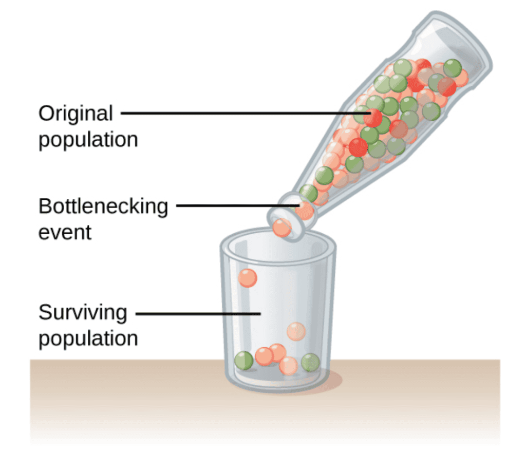 Natural Selection and Microevolution