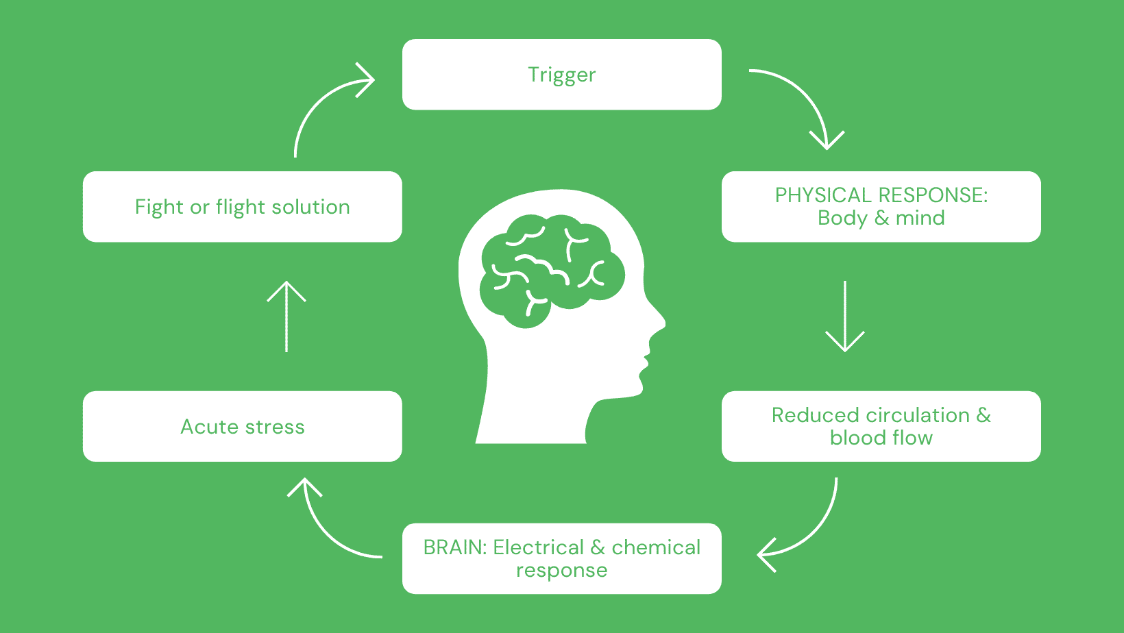 如何发展信心-Amygdala劫持