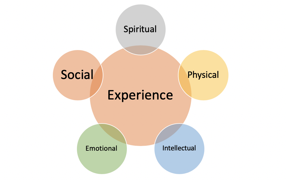 hsc english common module texts and human experiences