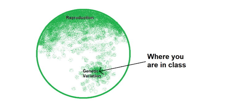 memorise HSC Biology content