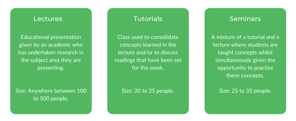纽约州立大学文科学士-班级结构