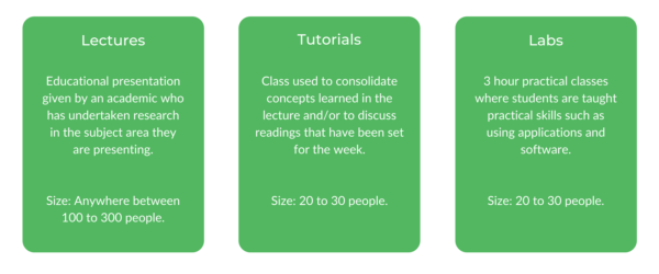 Bachelor of Commerce UNSW - Class Structure