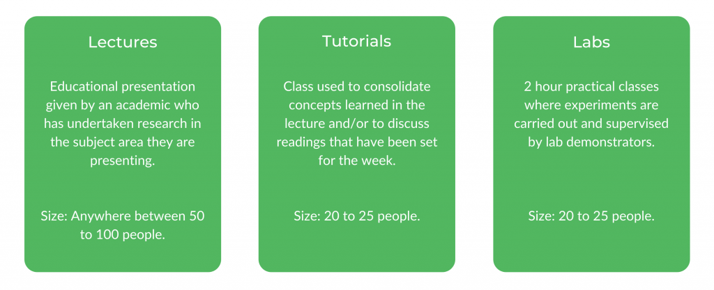 医学科学UNSW  - 阶级结构