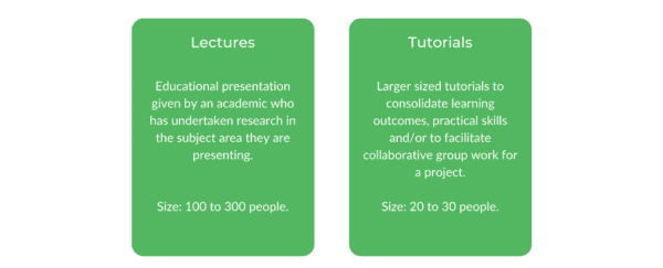 艺术学士WSU级结构