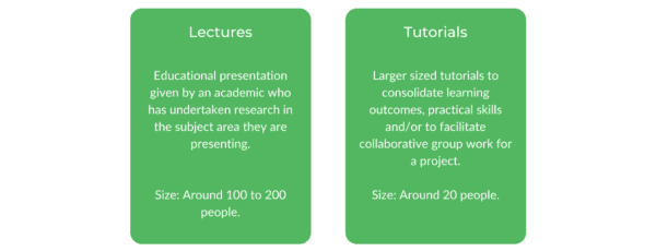 电影研究USYD -班级结构