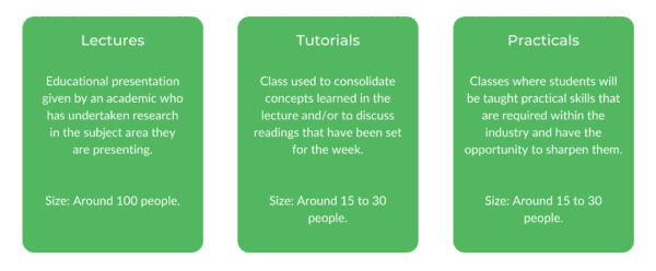 精算学士学位-阶级结构