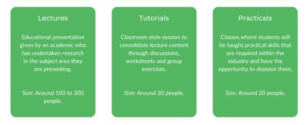 WSU Sport and Exercise Science - Class Structure