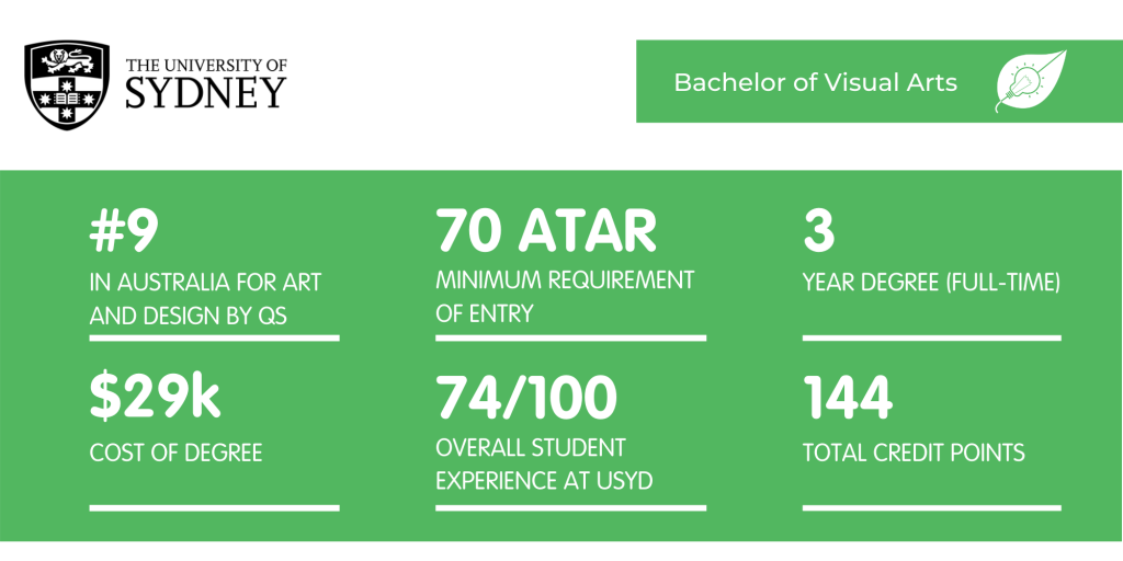 纽约大学视觉艺术学士-概况介绍