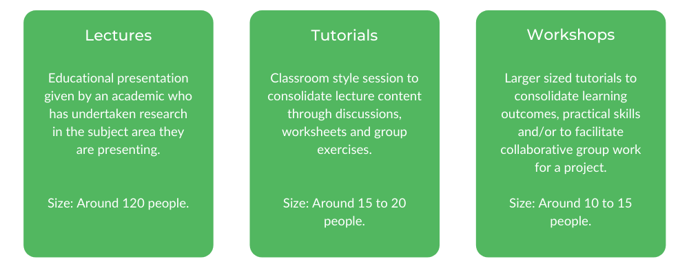 视觉艺术学士-班级结构