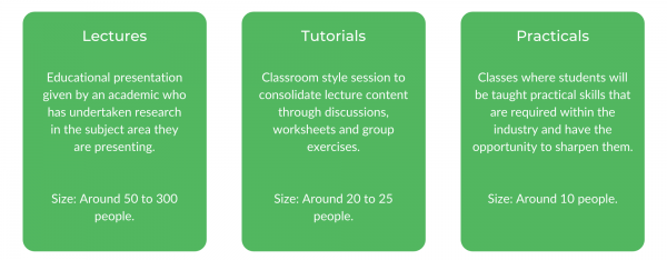 航空学生班级结构