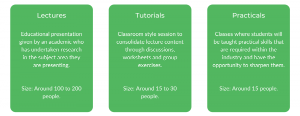 华盛顿州立大学创意产业学士学位-等级结构