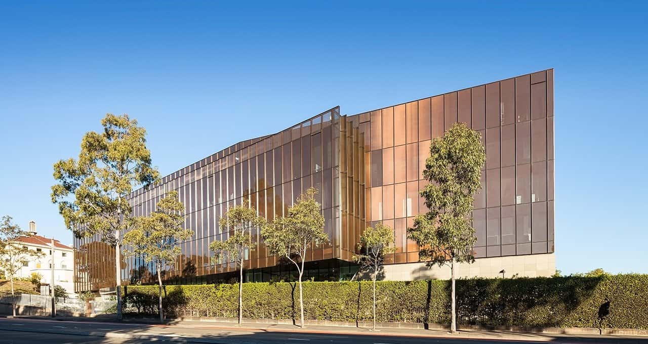 纽约大学-文学士