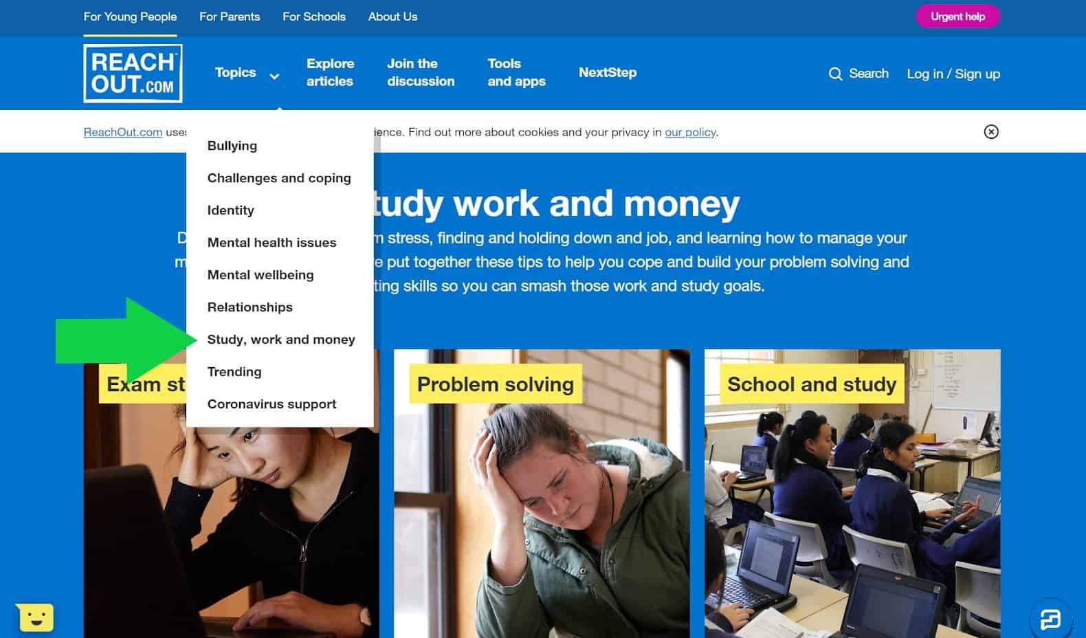 Reachout - Mental Health Support Services