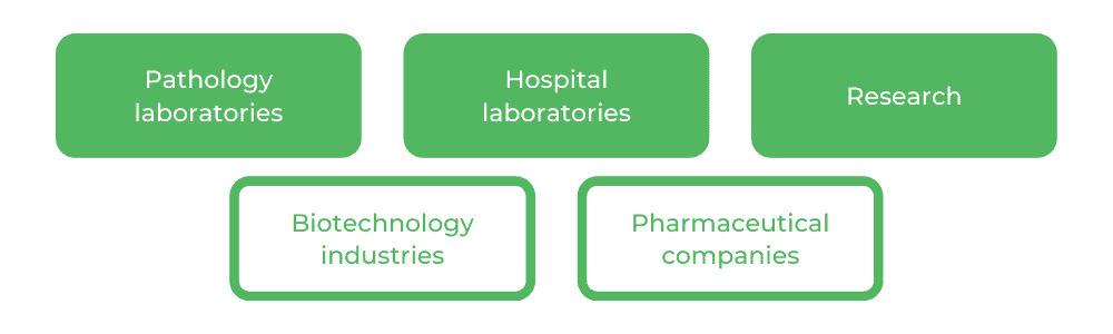 Bachelor of Biomedical Science UTS - Careers