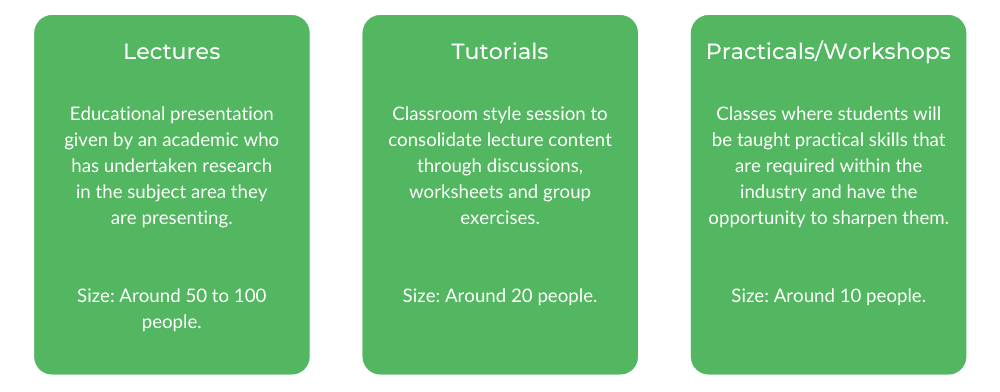 WSU工程 - 阶级结构