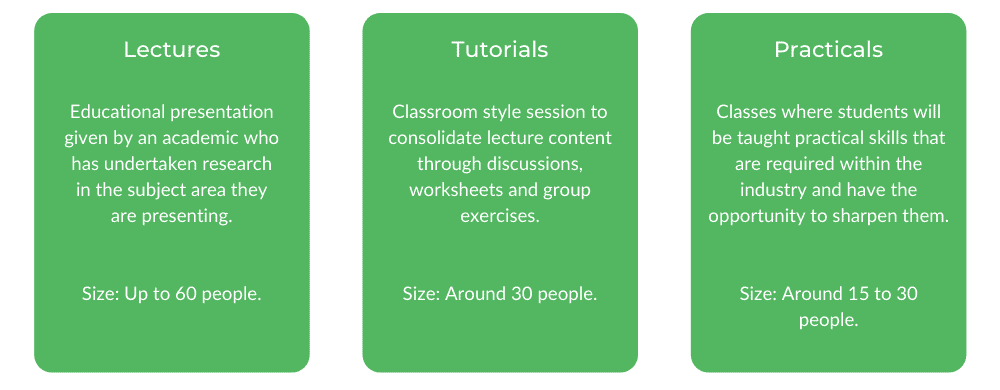 墨尔本口腔健康大学级结构