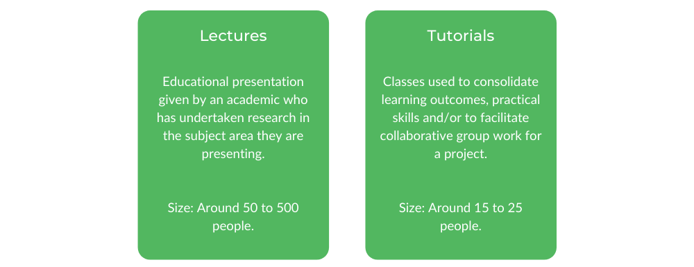商业莫纳什 - 班级结构