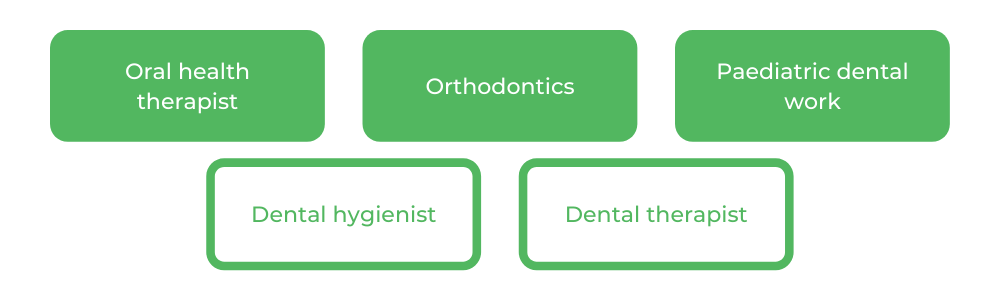 口腔健康学士学位-职业