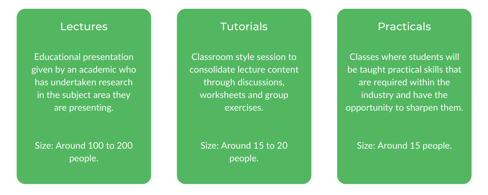 RMIT Software Engineering - Class Structure