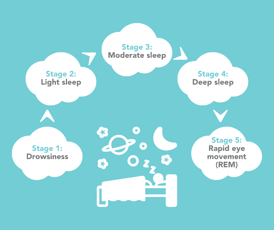 How many hours of sleep should a teenager get - Sleep cycle