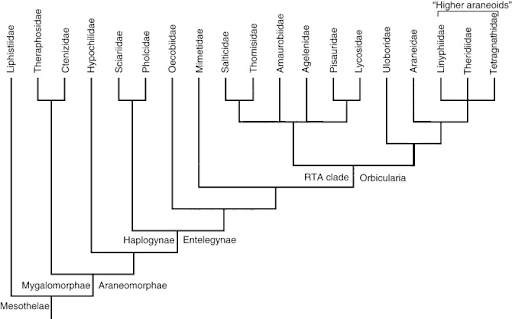 生物EA多项选择练习问题- Q4
