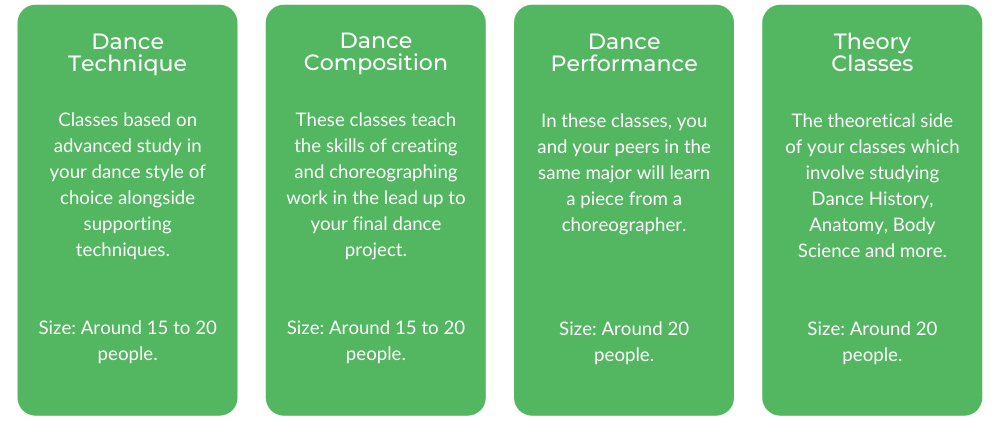 AMPA舞蹈课程学士学位