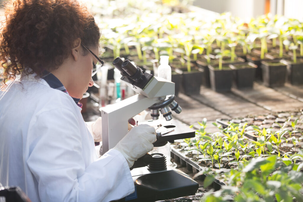 Scientist looking at microscope in greenhouse
