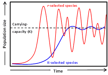 QCE Biology External Assessment - Effective Notes