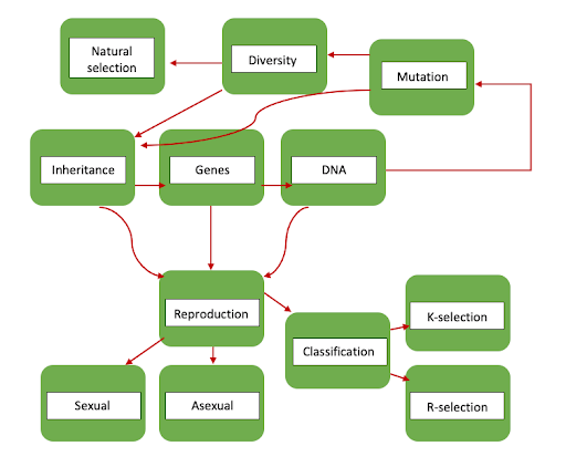 QCE Biology External Assessment - Mindmap